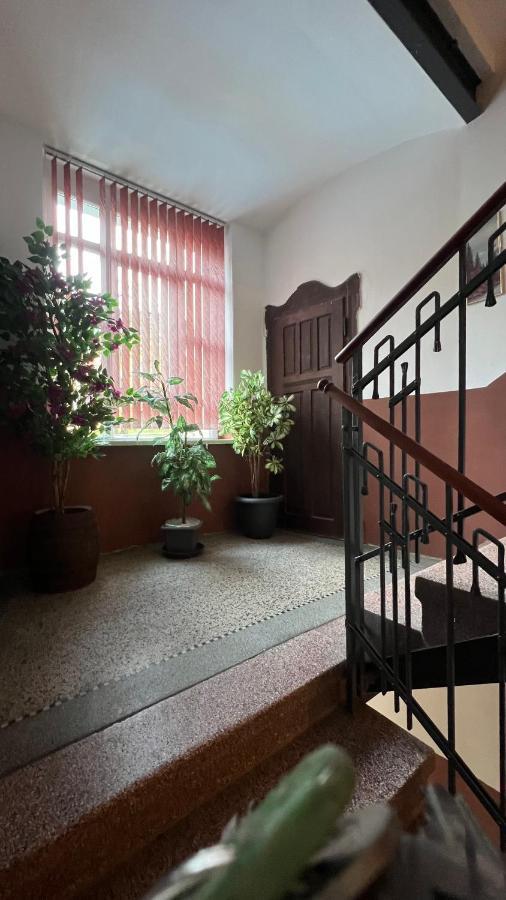 Pension Chevermeto ケムニッツ エクステリア 写真